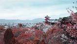 【本州半自助】<本州大阪京都奈良東京半自助六天游>