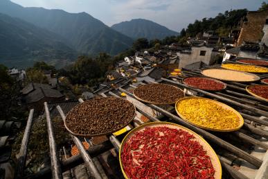 【國風(fēng)畫卷】<廬山、鄱陽湖石鐘山、景德鎮(zhèn)、婺源篁嶺、三清山、夜游望仙谷6日游>